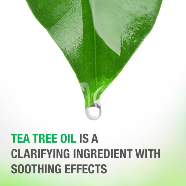 Neutrogena Tea Tree Oil Conditioner - Soothing & Calming for Healthy, Moisturized Hair & Scalp, pH-Balanced, Paraben-Free, Phthalate-Free, Safe for Color-Treated Hair, 12 fl oz