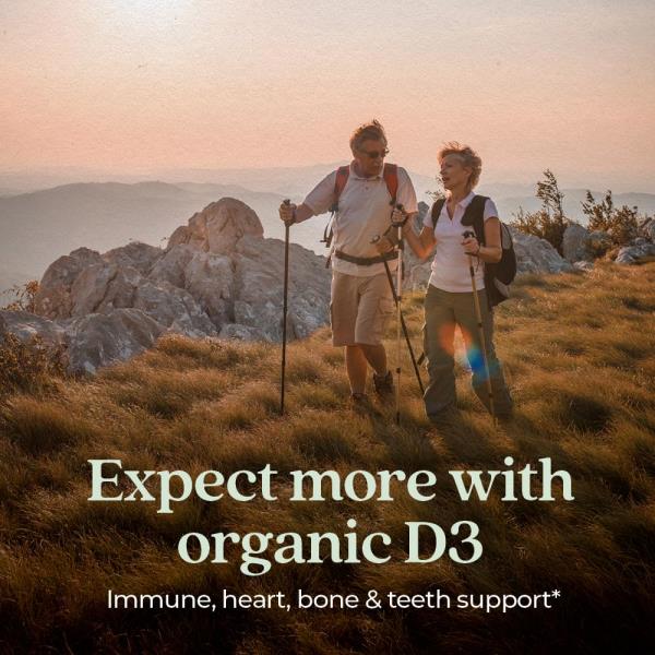 New Chapter Fermented Vitamin D3 2,000 IU, Organic, ONE Daily for Immune, Heart & Bone Support + Whole-Food Turmeric, Adaptogenic Reishi Mushroom, 100% Vegetarian, Gluten Free, 60 Count
