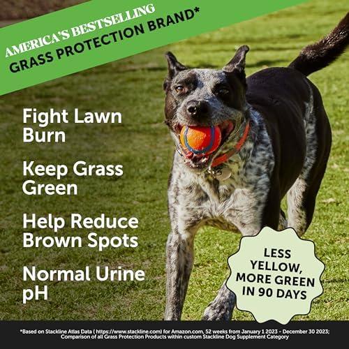 Grass Green Dog Chews - Urine Neutralizer for Lawn, Dog Pee Grass Helps Yard Stay Green Addressing Burn Spots with Probiotics & Enzymes (Duck)