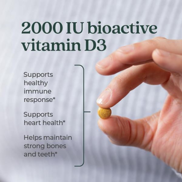 New Chapter Fermented Vitamin D3 2,000 IU, Organic, ONE Daily for Immune, Heart & Bone Support + Whole-Food Turmeric, Adaptogenic Reishi Mushroom, 100% Vegetarian, Gluten Free, 60 Count
