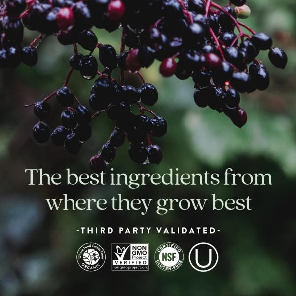 New Chapter Women's Multivitamin for Immune, Beauty + Energy Support with Fermented Nutrients - Every Woman's One Daily, Made with Organic Vegetables & Herbs, Non-GMO, Gluten Free, 48 Count