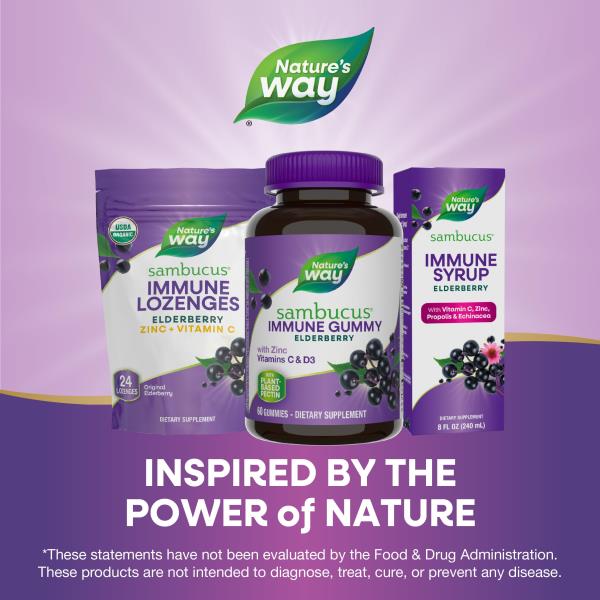 (2) Nature’s Way Sambucus Elderberry Immune Gummies, Daily Immune Support for Kids and Adults*, with Vitamin C, Vitamin D3, Zinc, Gluten Free, Vegetarian, 60 Gummies