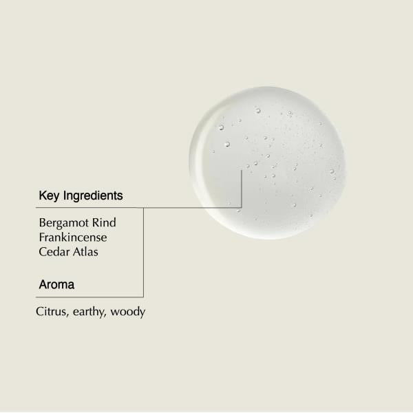 Aesop Shampoo | Soften Hair, Restore Shine | Bergamot Rind, Frankincense, Cedar Atlas | 16.9 oz / 500mL