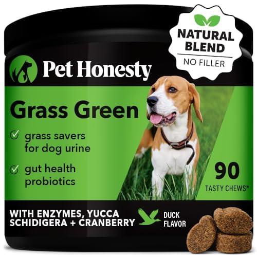 Grass Green Dog Chews - Urine Neutralizer for Lawn, Dog Pee Grass Helps Yard Stay Green Addressing Burn Spots with Probiotics & Enzymes (Duck)
