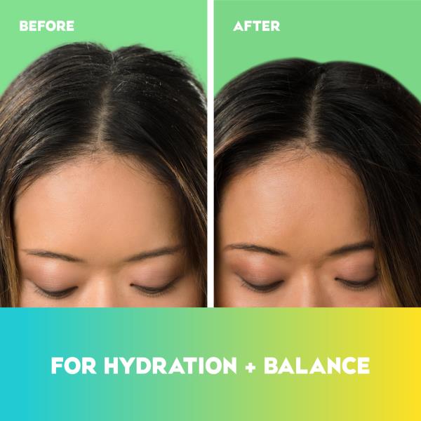 (2) OGX Hydrating Tea Tree Mint Conditioner, Tea Tree & Peppermint Oil 13 fl oz