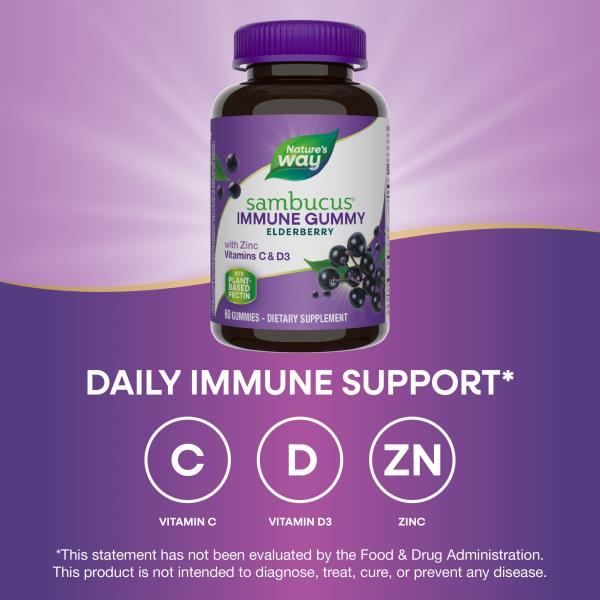 (2) Nature’s Way Sambucus Elderberry Immune Gummies, Daily Immune Support for Kids and Adults*, with Vitamin C, Vitamin D3, Zinc, Gluten Free, Vegetarian, 60 Gummies