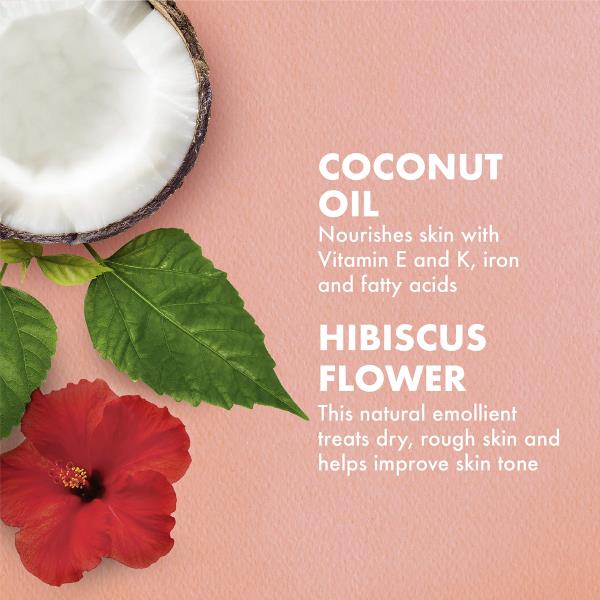 (3) SheaMoisture Coconut & Hibiscus Body Wash, 13 Ounce