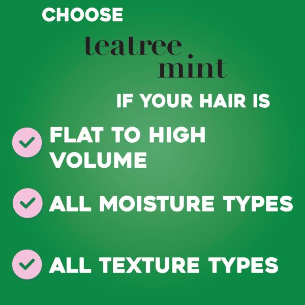 (2) OGX Hydrating Tea Tree Mint Conditioner, Tea Tree & Peppermint Oil 13 fl oz